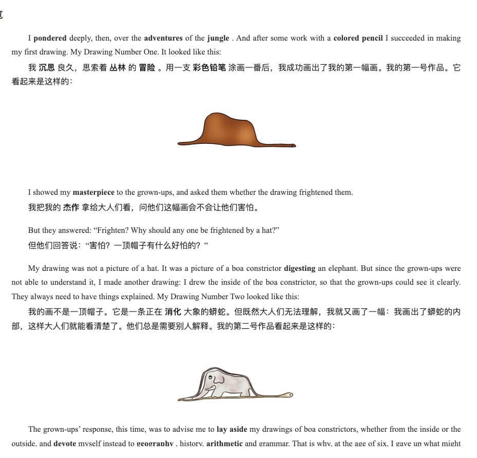 Preview of eBook translation effect